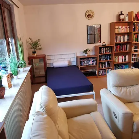 بيت للعطل Ganzes Mit 1000qm Garten In Kassel, Private Kueche, Bad Wc, Wohnzimmer, 4 Schlafzimmer, 7 Betten, Gratis Parkplaetze, Wifi, Bbq Pavillion, So Privat Zu Hause كاسيل